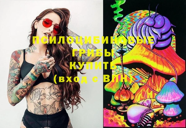 прущие крисы Баксан