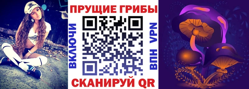 Купить  Кстово  Галлюциногенные грибы Psilocybe 