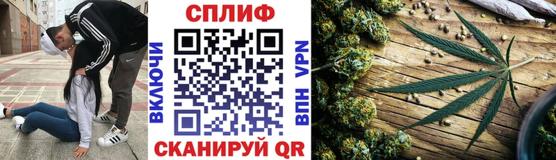 Купить  Кстово  Каннабис гибрид 